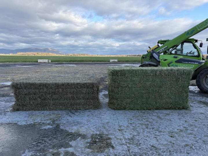 Comparaison entre les 3' X 3' et les 3' X 4'