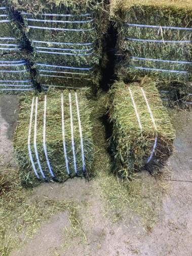 Balle de 60 livres vs balle de 40 livres