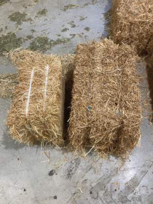 Petites balles carrées standard