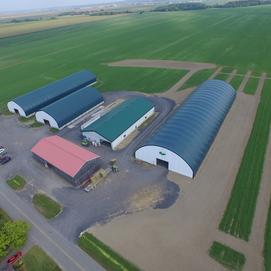 Foin pour chevaux Canada