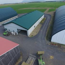 Foin pour chevaux Canada