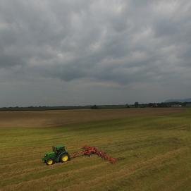 Foin pour chevaux Canada