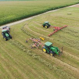 Foin pour bovins laitiers Canada