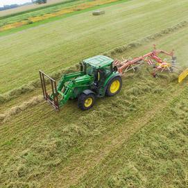 Foin pour bovins laitiers Canada