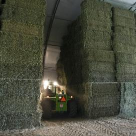 Foin pour chevaux Canada