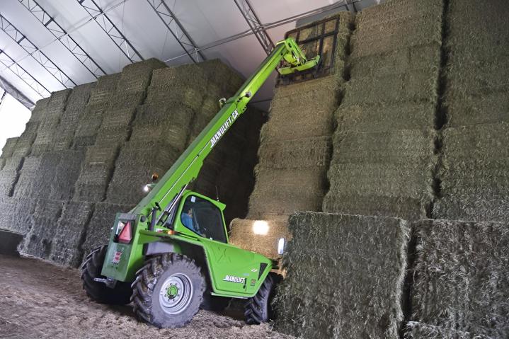Foin pour bovins laitiers Canada
