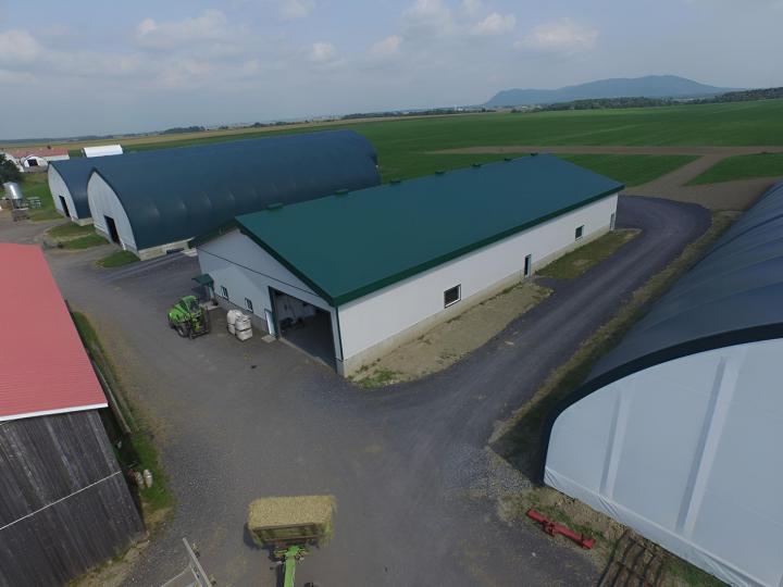 Foin pour chevaux Canada